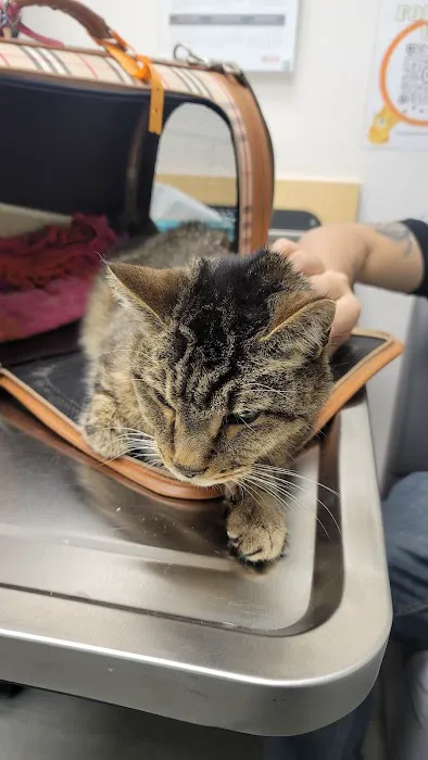 Banfield Pet Hospital 2