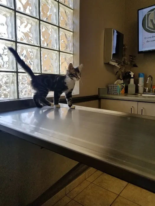 Banfield Pet Hospital 7
