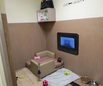 Boca Park Animal Hospital