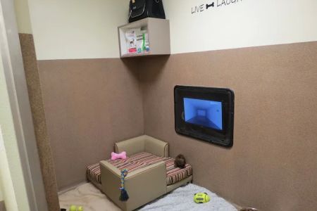 Boca Park Animal Hospital