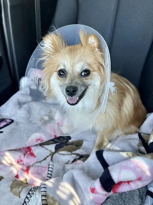 Advanced Animal Care Hospital 6