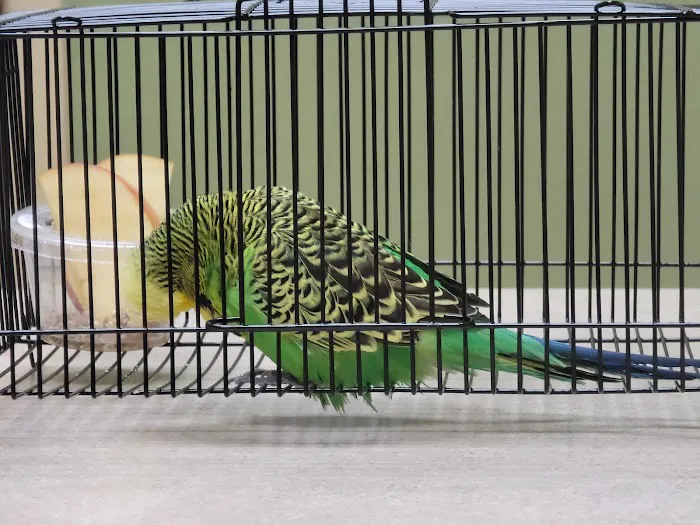 Aloha Animal Hospital 3