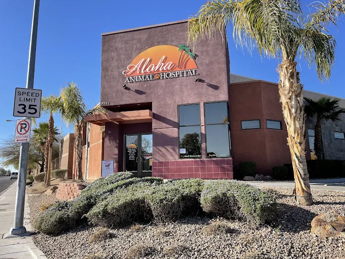 Aloha Animal Hospital 5