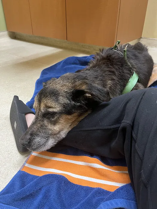 Aloha Animal Hospital 2