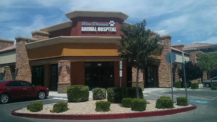 Blue Diamond Animal Hospital 1