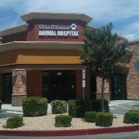 Blue Diamond Animal Hospital ico