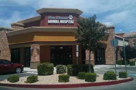 Blue Diamond Animal Hospital