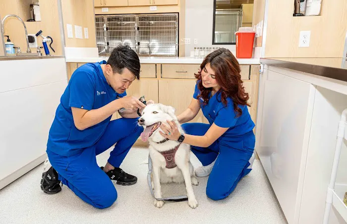 Enterprise Animal Hospital 12