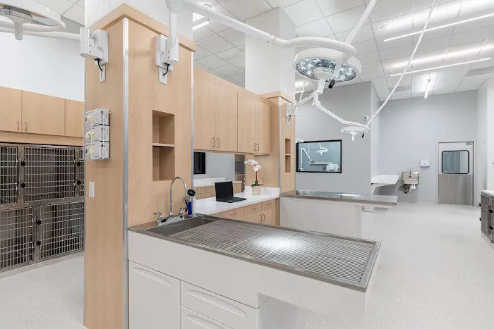 Enterprise Animal Hospital 12