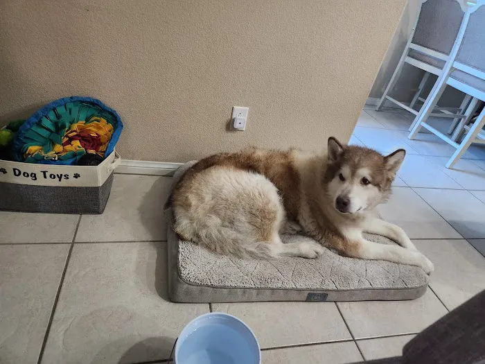 Vetco Total Care Animal Hospital 12