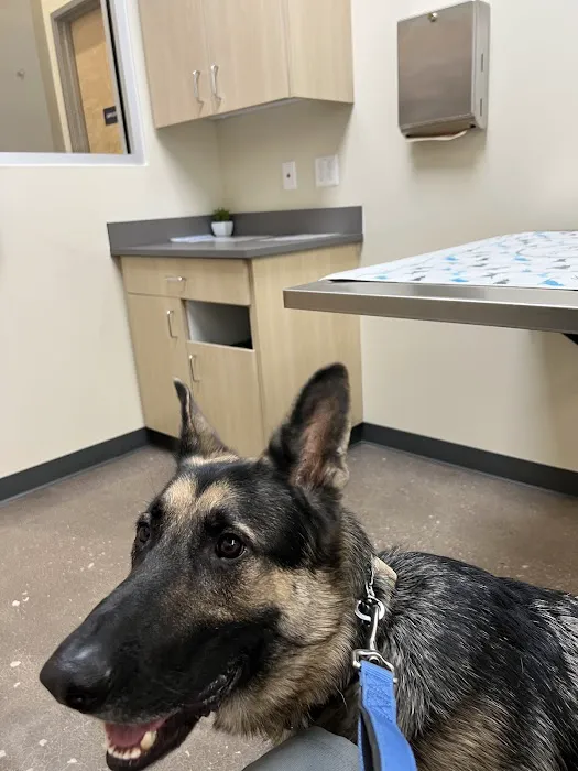 Vetco Total Care Animal Hospital 12
