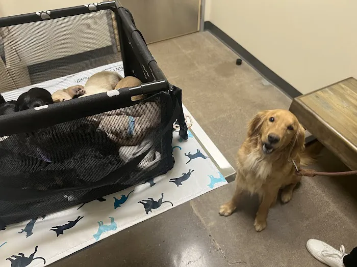 Vetco Total Care Animal Hospital 12