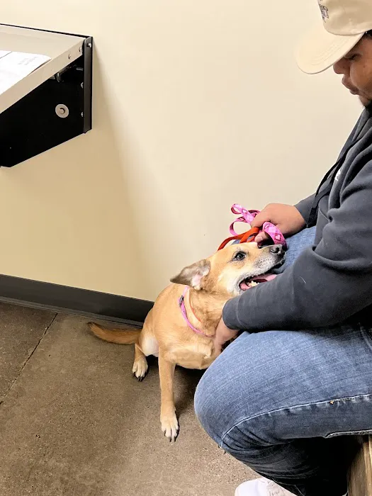 Vetco Total Care Animal Hospital 12