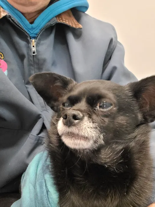 Banfield Pet Hospital 4