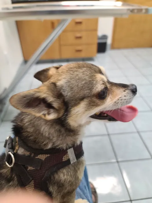 Banfield Pet Hospital 1