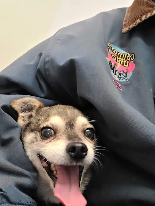 Banfield Pet Hospital 3