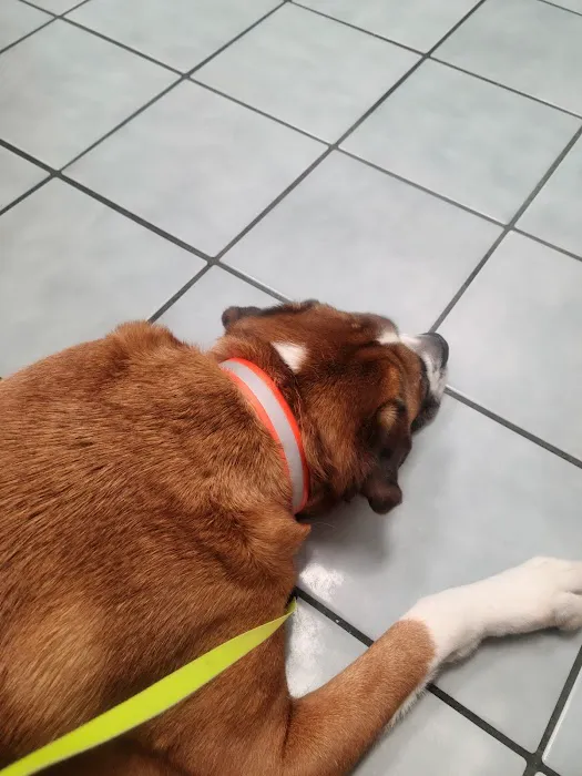 Banfield Pet Hospital 8
