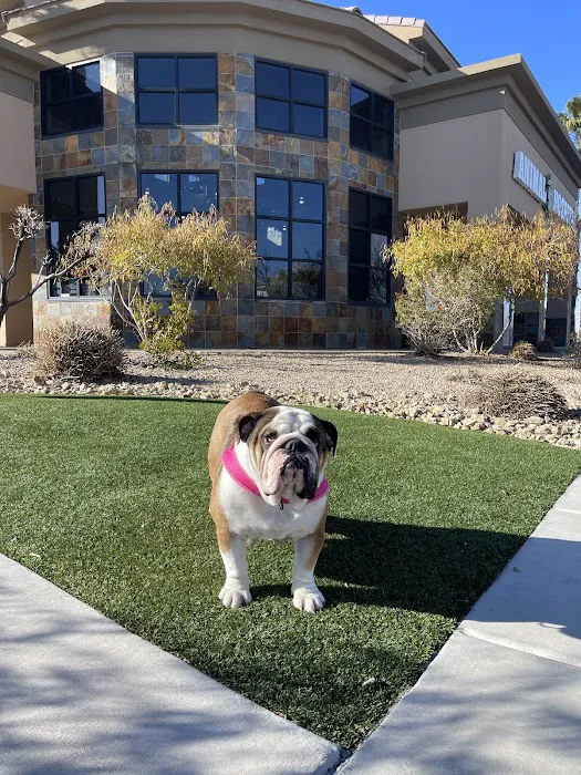 West Charleston Animal Hospital 12