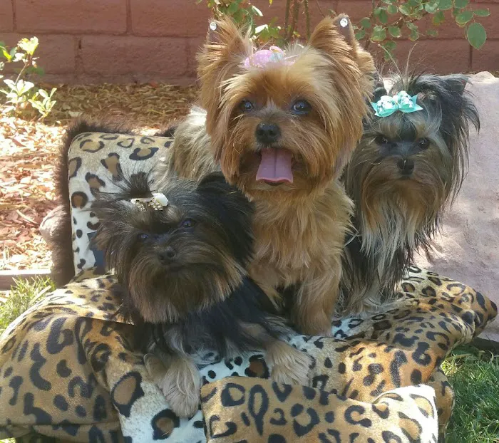 Mauer Animal Clinic 12