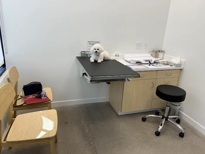 Vegas Valley Pet Hospital 6