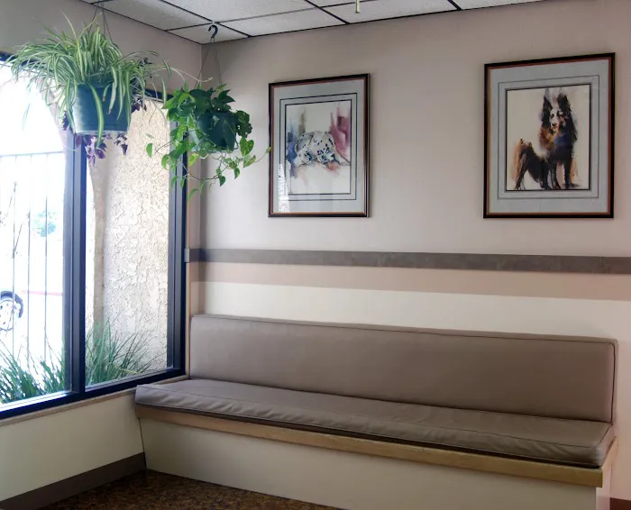 Rainbow Animal Hospital 4