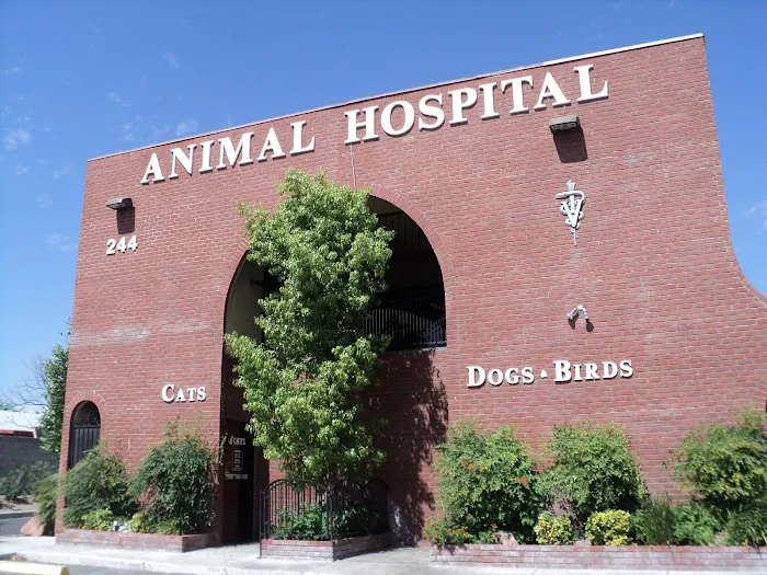 Rainbow Animal Hospital 1