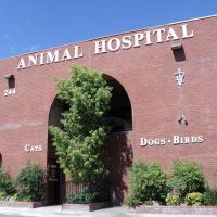 Rainbow Animal Hospital ico