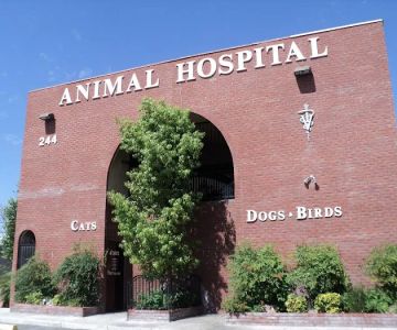 Rainbow Animal Hospital