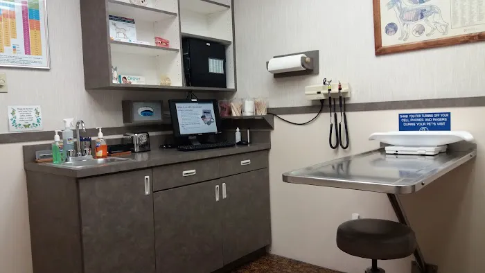 Rainbow Animal Hospital 8