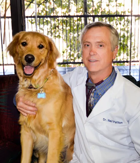 Rainbow Animal Hospital 2