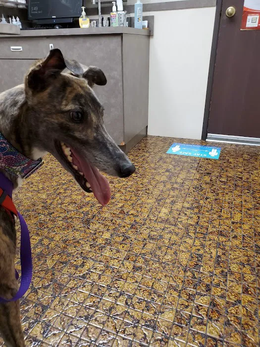 Rainbow Animal Hospital 10