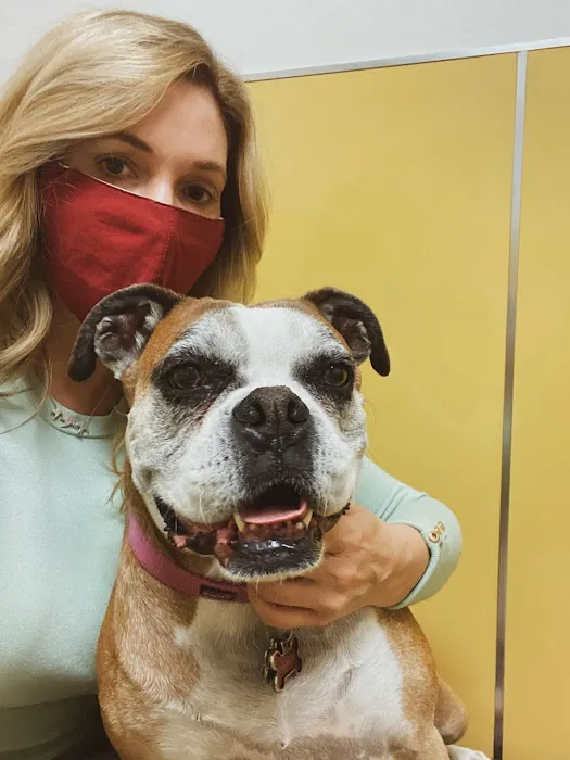 Sahara Animal Hospital 1