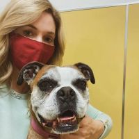 Sahara Animal Hospital ico