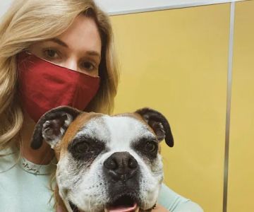 Sahara Animal Hospital