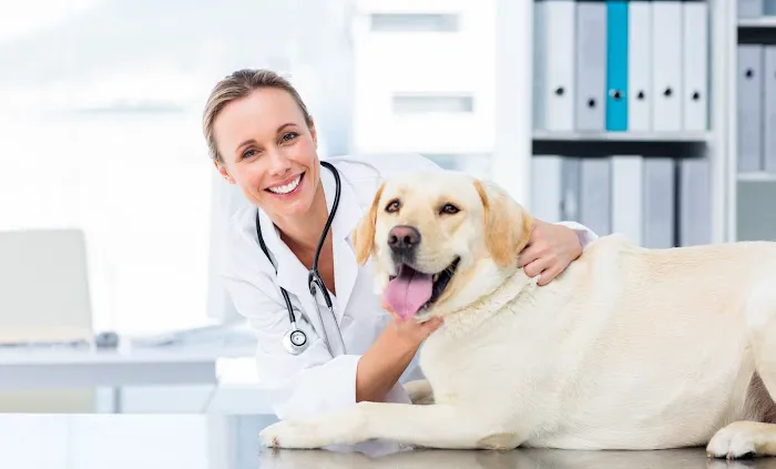 PetSmart Veterinary Services - W Las Vegas (S Decatur) 12
