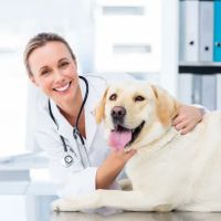 PetSmart Veterinary Services - W Las Vegas (S Decatur) ico