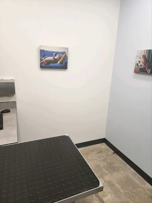 PetSmart Veterinary Services - W Las Vegas (S Decatur) 12