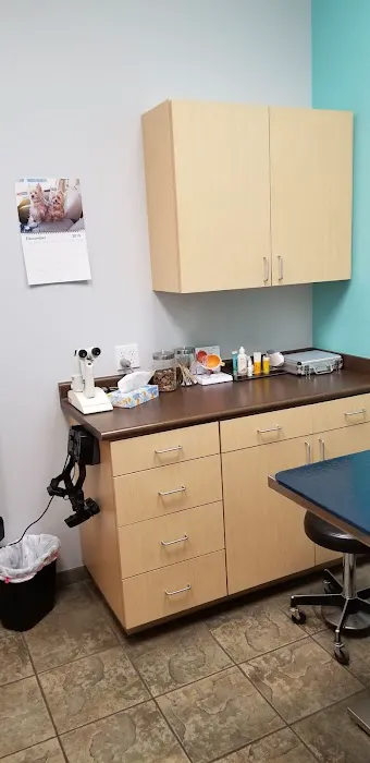 Eye Care for Animals - Las Vegas 7