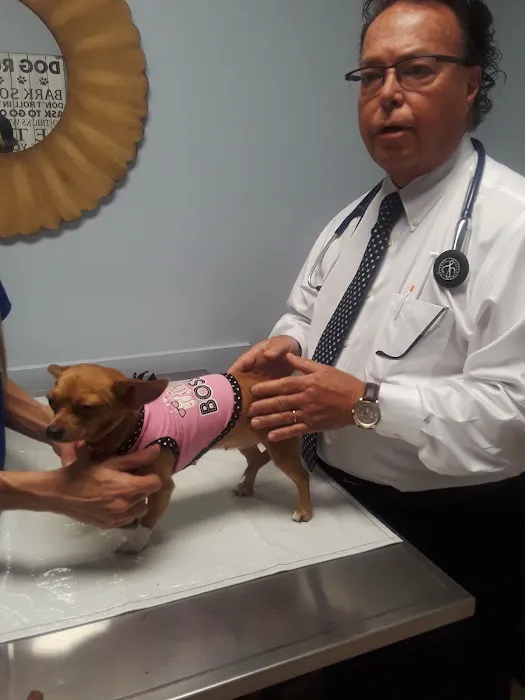 Beach St Johns Animal Hospital 3