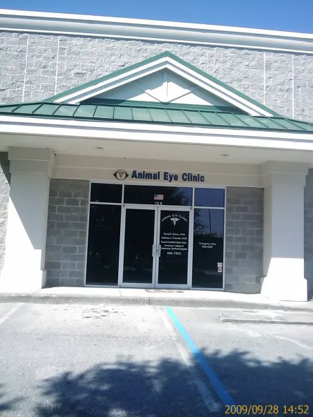 Animal Eye Clinic 4