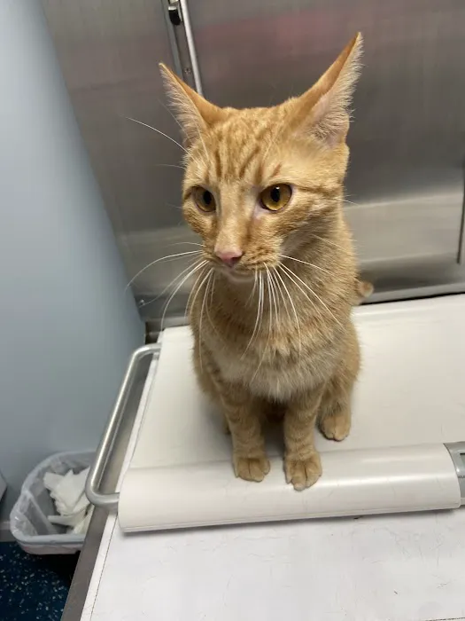 SJB Animal Care Center 12