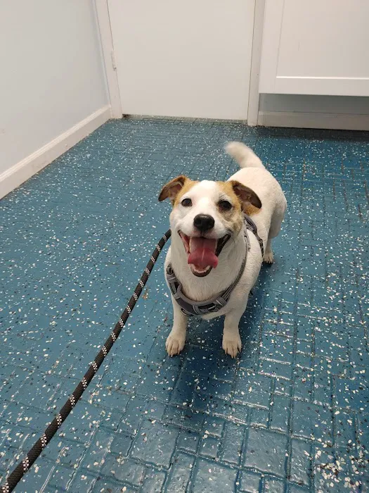 SJB Animal Care Center 12