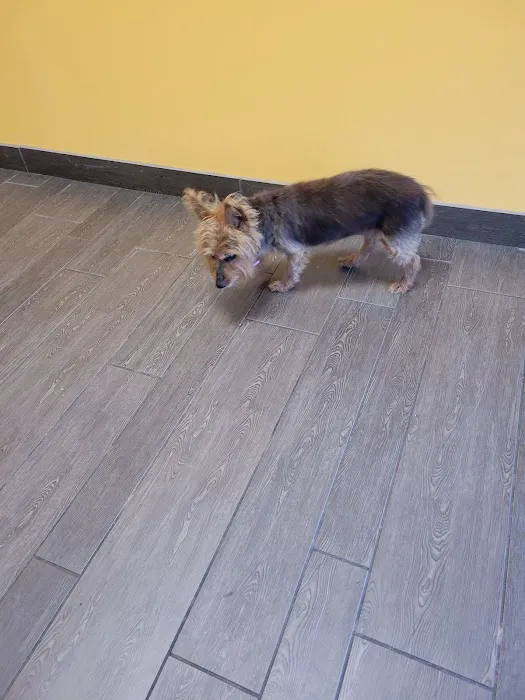 Banfield Pet Hospital 12
