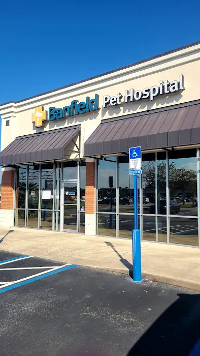 Banfield Pet Hospital 12