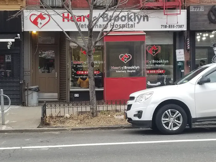 Heart of Brooklyn Veterinary Hospital Fort Greene 6