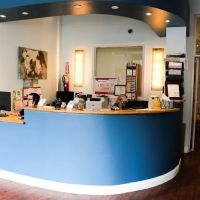 Pure Paws Veterinary Care of Clinton Hill ico