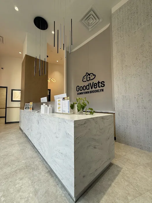 GoodVets Downtown Brooklyn 6