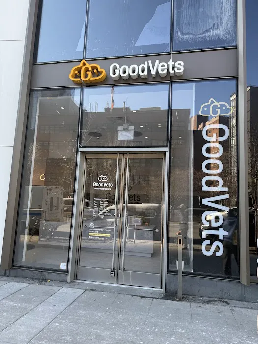 GoodVets Downtown Brooklyn 7