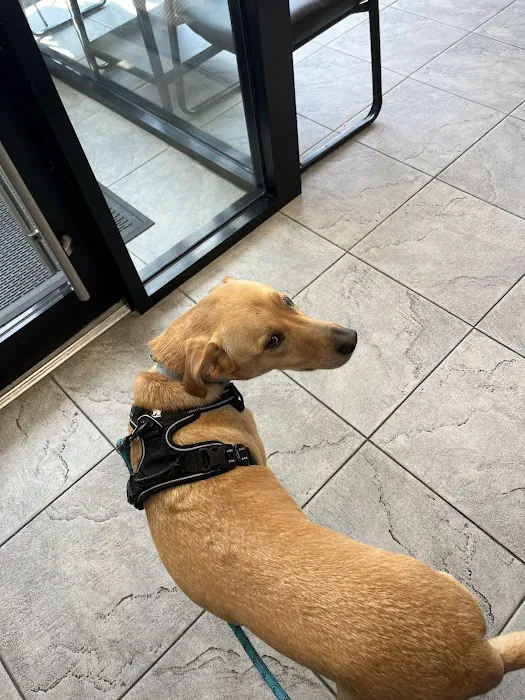 Court Square Animal Hospital 5