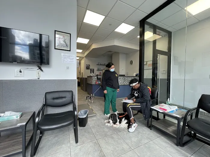 Court Square Animal Hospital 7